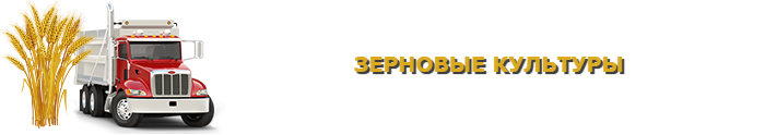 selhozprodukciua_saptrans-online-ru_perevozka_rus_sng_9257557224_002